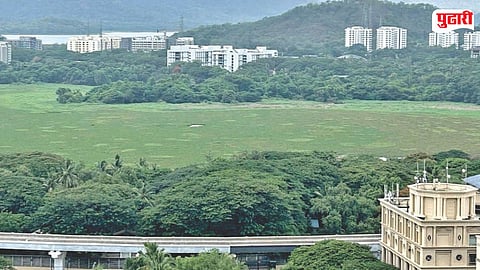 Powai Lake Sewer Project