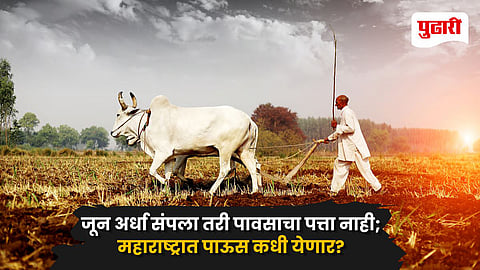 Maharashtra Monsoon Updates