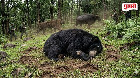 Bear Died Bhandara
