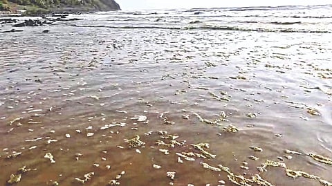 Asgoli Beach