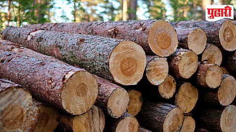 Wood