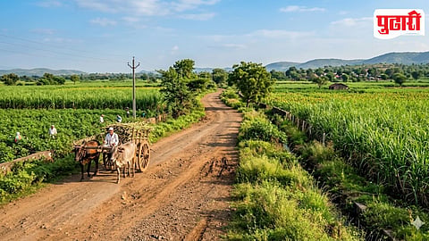 Farm Road Encroachment