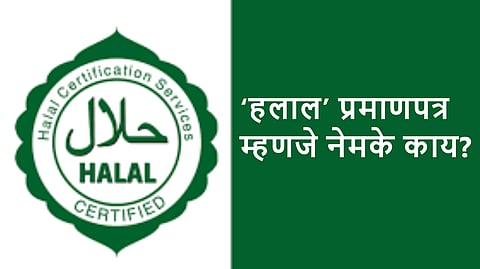 What is Halal Certificate Exactly? Meaning, Rules and Export Importance