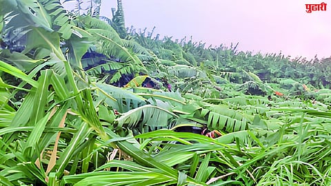 Hingoli Rain