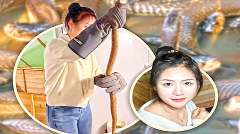 Woman Lives With 60000 Snakes |