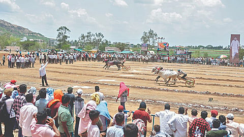 Bailgada Sharyat