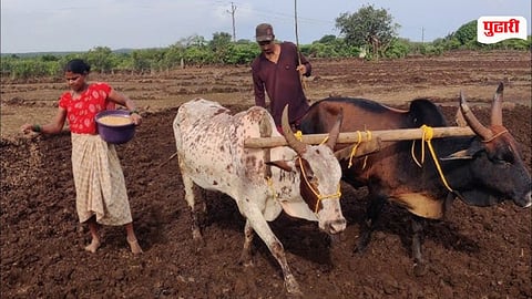 kharif sowing