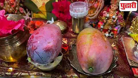 जपानमधील दुर्मिळ 'मियाझाकी' आंबा पहिल्यांदाच प्रभू रामांना अर्पण