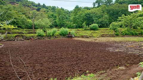 Kharif Sowing