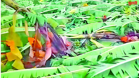Banana plantations destroyed