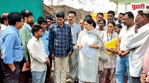 Chandrapur Waghya Turmeric GI Tag