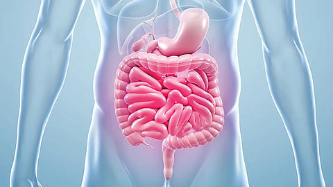Gut Health : केवळ अपचन की आतड्यांचा आजार? मूळ कारण शोधण्यासाठी 'या' चाचण्या कराच!