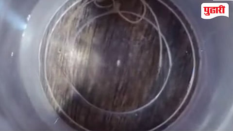 Worms In Tap Water 2026