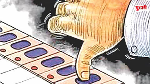 MLC Voting 2026