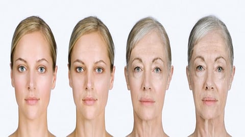 Organ Age Blood Test |