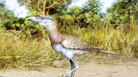 Terror Birds |