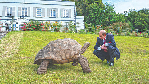 Oldest Tortoise |