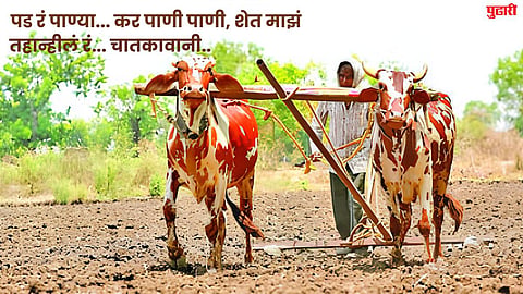 Kharif Season Dry : रोहिणी अन् मृग नक्षत्र कोरडे; शेतकरी चिंतेत