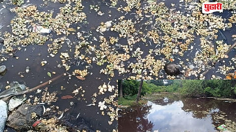 Banganga River Dead Fish
