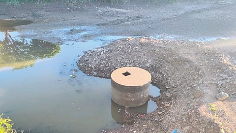 Nipani Water Crisis : वेदगंगा कोरडी, कोरड घशाला