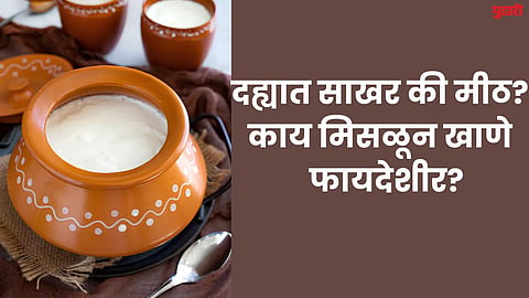 Curd benefits