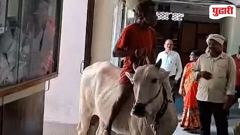 Rajura Tehsil Office Farmer Protest