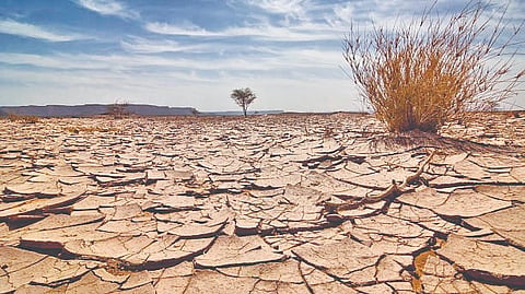 Global Drought Crisis |