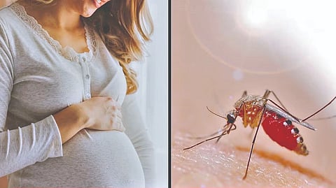 Pregnancy Care Tips |