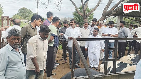 Deolali Pravara Cow Death