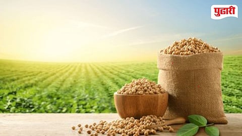 Purna Soybean Seed Rate Hike