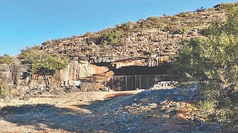 Early Human Fire |