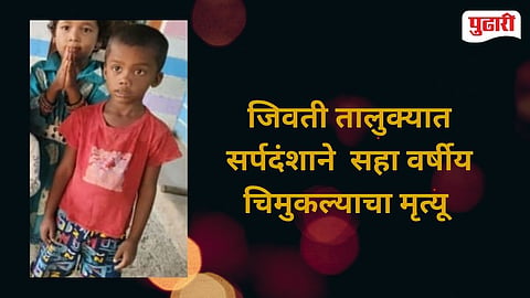 Jivti Taluka Snake Bite Child Death