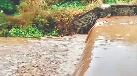 Satara Rain update