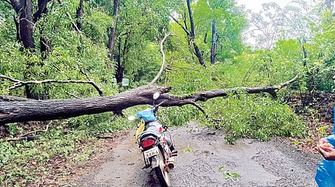 Ratnagiri Rain Updates