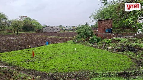 Thane District Heavy Rain