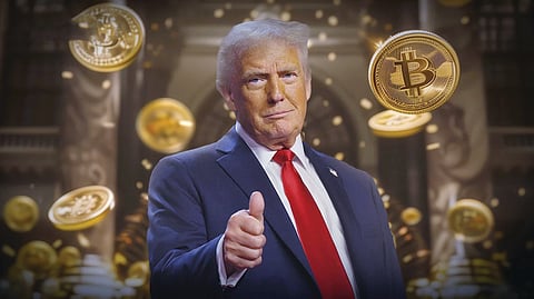 Donald Trump Crypto Earnings |