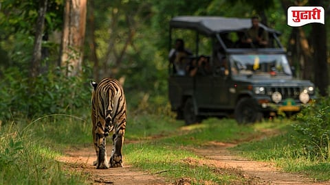 NNTR Core Zone Safari Closed