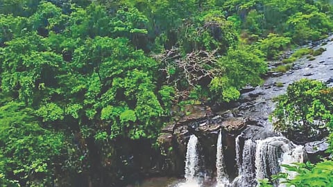 Belagavi news: बेळगावच्या पाच पर्यटकांवर गुन्हा