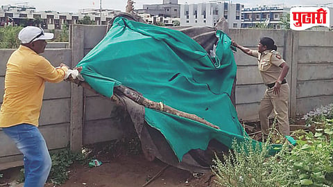 Ahilyanagar Illegal Liquor Raid