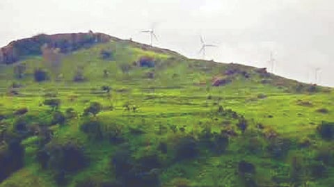 Sahyadri Hills