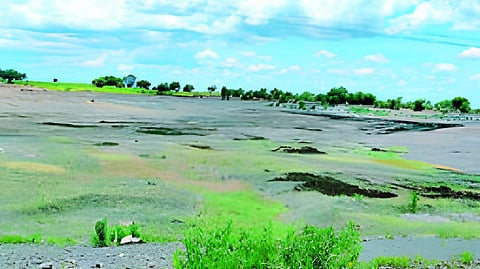 Beed Rain News