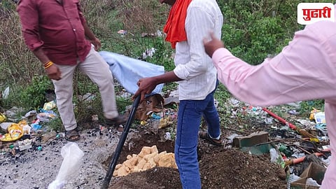 Aundha Nagnath : औंढ्यात अन्न व औषध प्रशासन विभागाची पेढे विक्रेत्यांवर धडक कारवाई