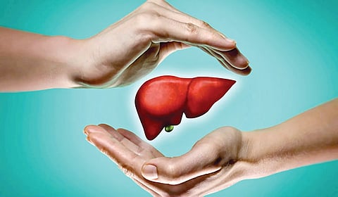 Liver Health |