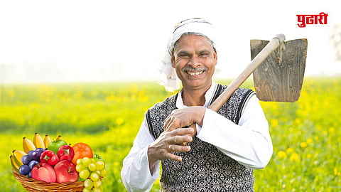 Fruit Crop Insurance Extension