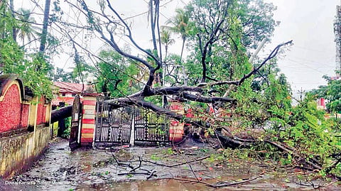 Satara Rain
