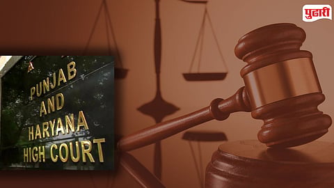 HC Verdict On Janmashtami Case