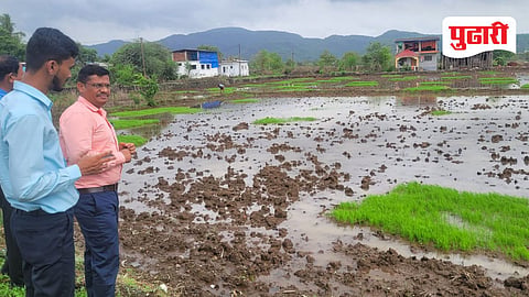 Raigad Agriculture