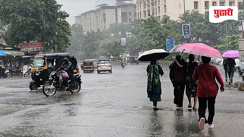 Rain