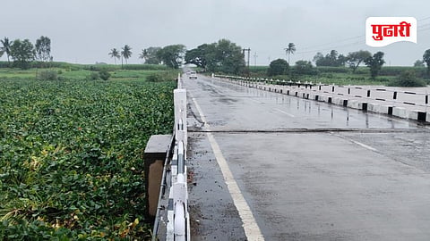 Krishna-Panchganga rivers : कृष्णा–पंचगंगा दुथडी भरून; जलपर्णीचा पुन्हा विळखा, शेतकरी चिंतेत
