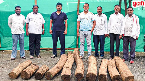 Nanded Crime : चिखली जंगलात सागवान तस्करीचा मोठा प्रयत्न उधळला; किनवट वनविभागाची धडक कारवाई, ८ तस्कर पसार!
